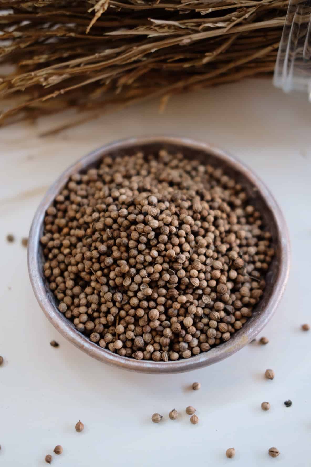 Coriander seeds 100 gr